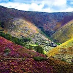 Quinta Da Ribeirinha Проживание в семье *