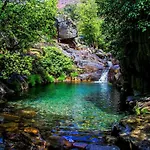 Quinta Da Ribeirinha * Арока
