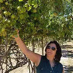 Quinta Da Ribeirinha Арока