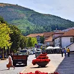 Проживание в семье Quinta Da Ribeirinha