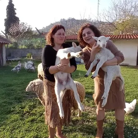 ホームステイ Quinta Da Ribeirinha