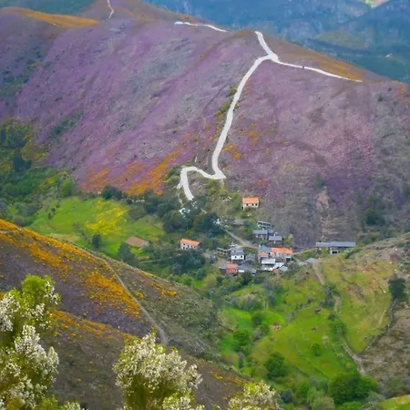 ホームステイ Quinta Da Ribeirinha *