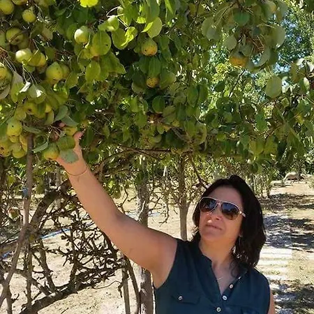 Quinta Da Ribeirinha Arouca