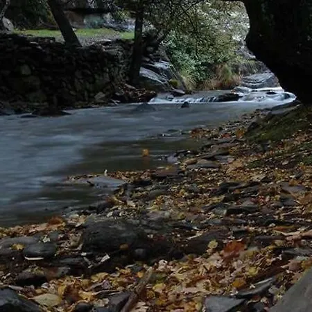 Quinta Da Ribeirinha * Arouca