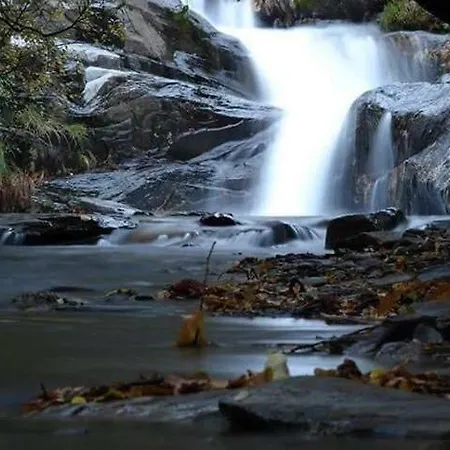 Quinta Da Ribeirinha *