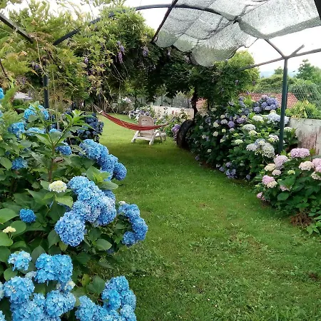 Quinta Da Ribeirinha