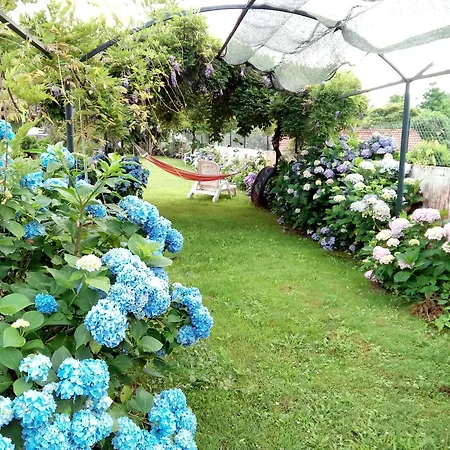 Quinta Da Ribeirinha * Арока