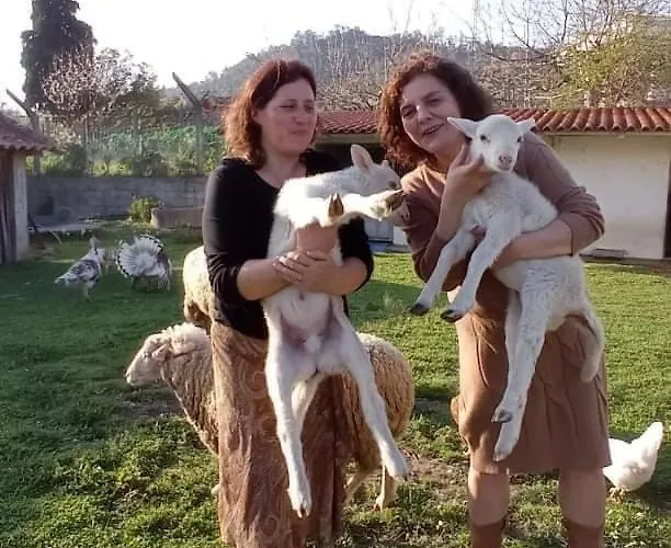 Homestay Quinta Da Ribeirinha