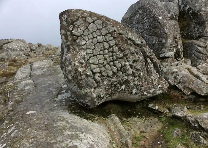 Quinta Da Ribeirinha Homestay Arouca