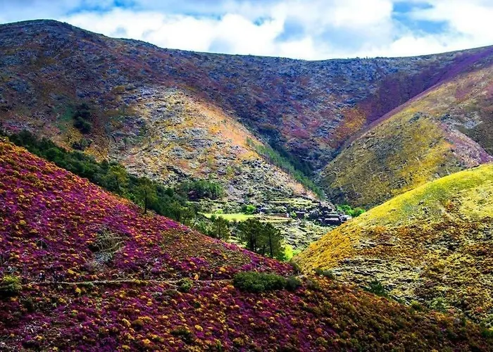 Quinta Da Ribeirinha Homestay *