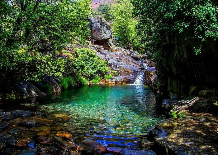 Quinta Da Ribeirinha * Arouca