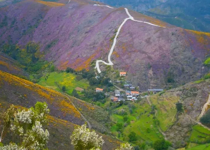 Homestay Quinta Da Ribeirinha *