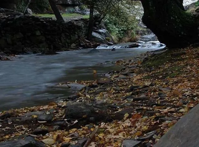 Quinta Da Ribeirinha * Arouca