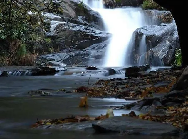 Quinta Da Ribeirinha *