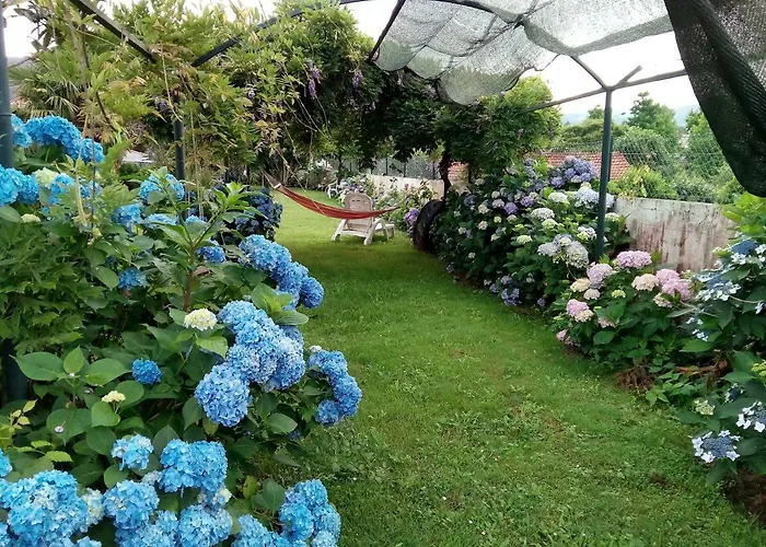 Quinta Da Ribeirinha