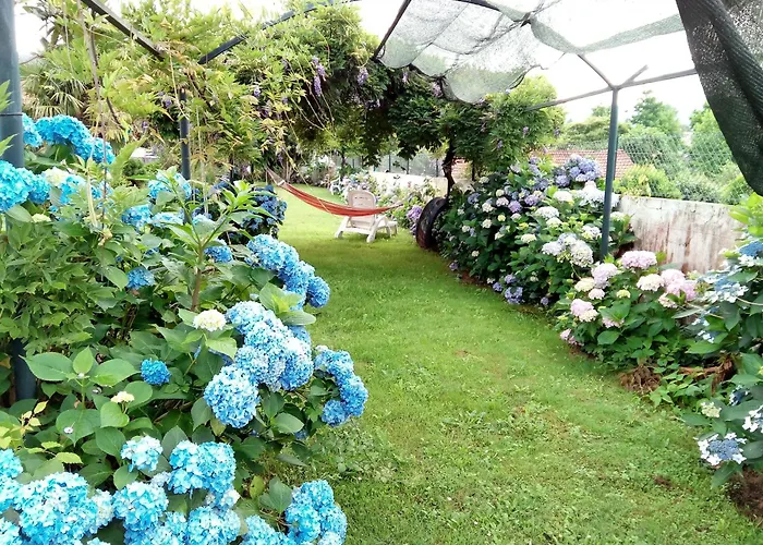 Quinta Da Ribeirinha * Arouca